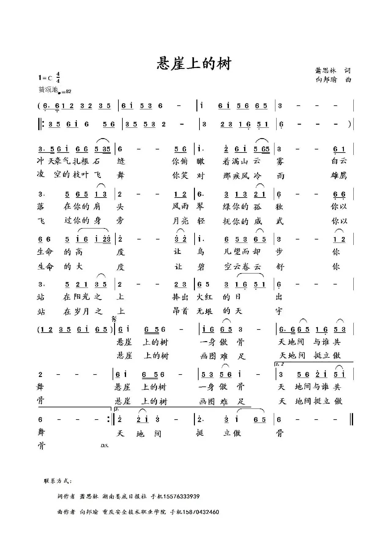 悬崖上的树（萧思林词 向邦瑜曲）
