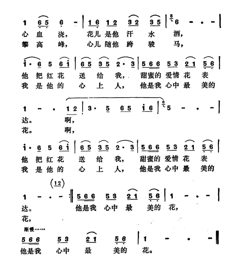 他送我一朵最美的花 