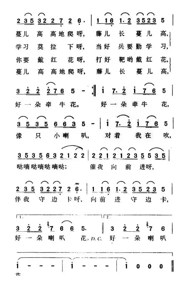 哨所里的喇叭花