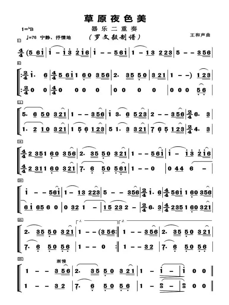 草原夜色美（器乐二重奏）