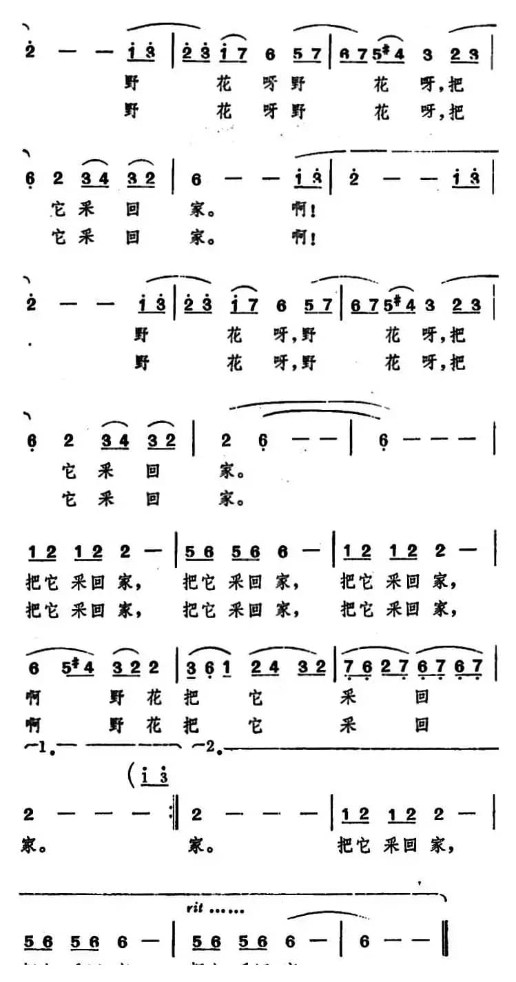 啊野花，野花（电影《扬帆》插曲）