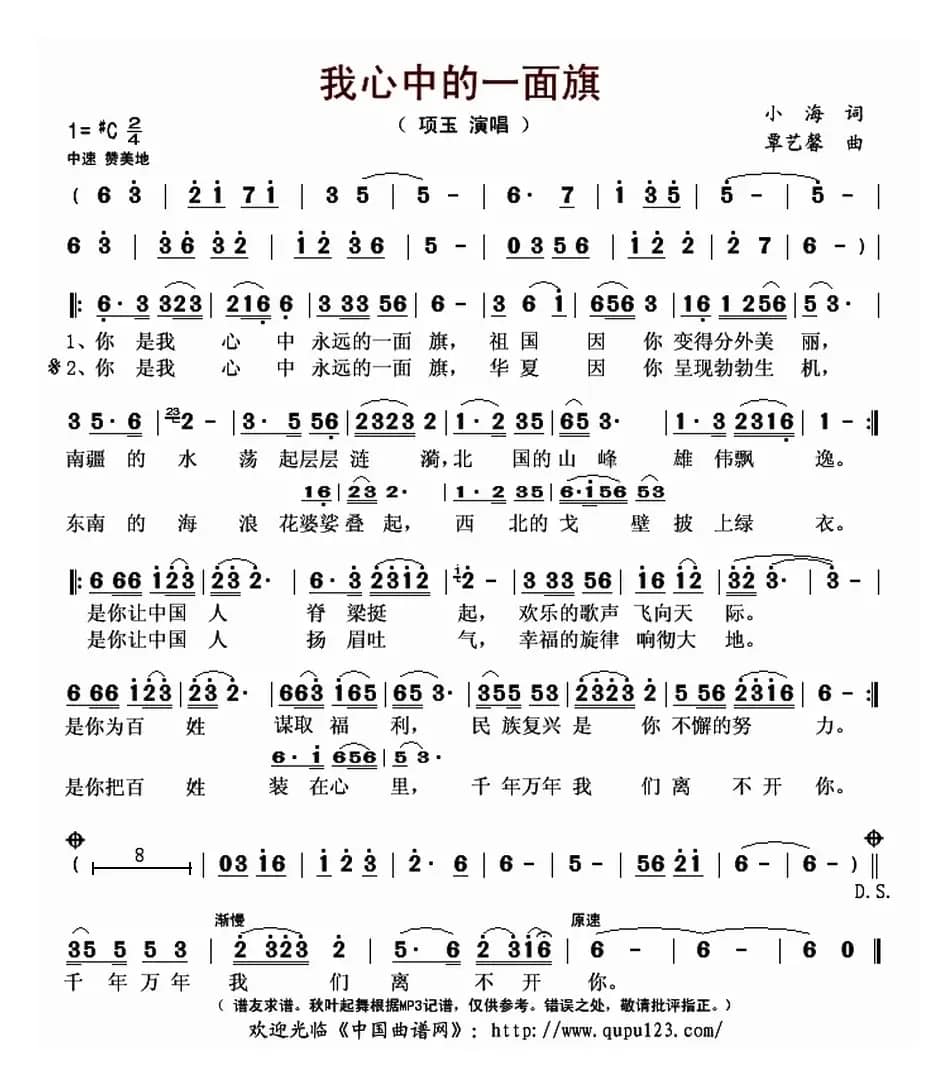 我心中的一面旗