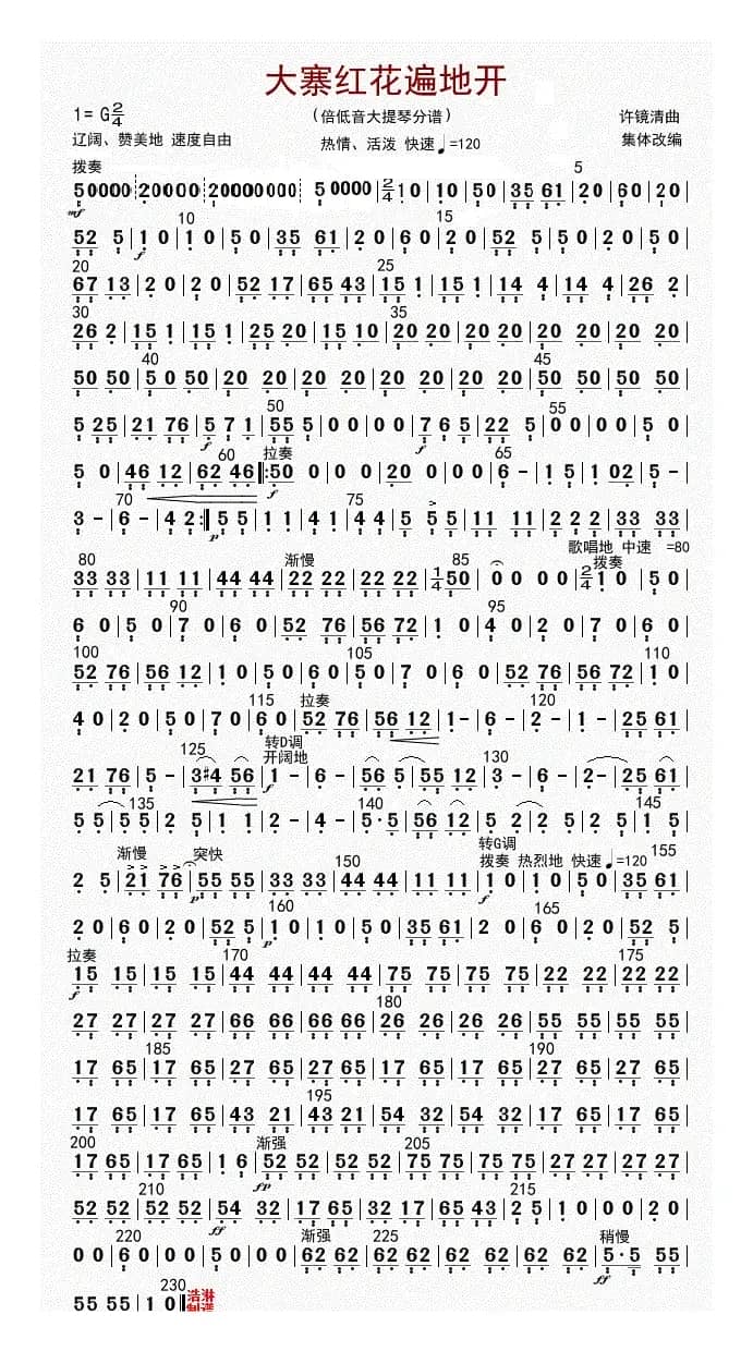 大寨红花遍地开（倍低音提琴（修改版））