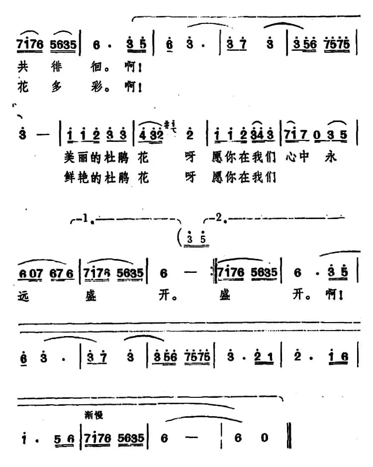 啊！杜鹃花呀（科教片《四川杜鹃花》插曲）