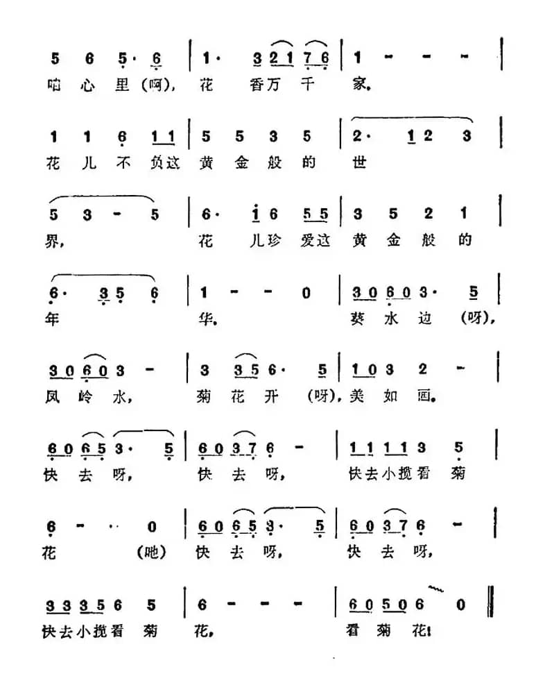 快去小榄看菊花