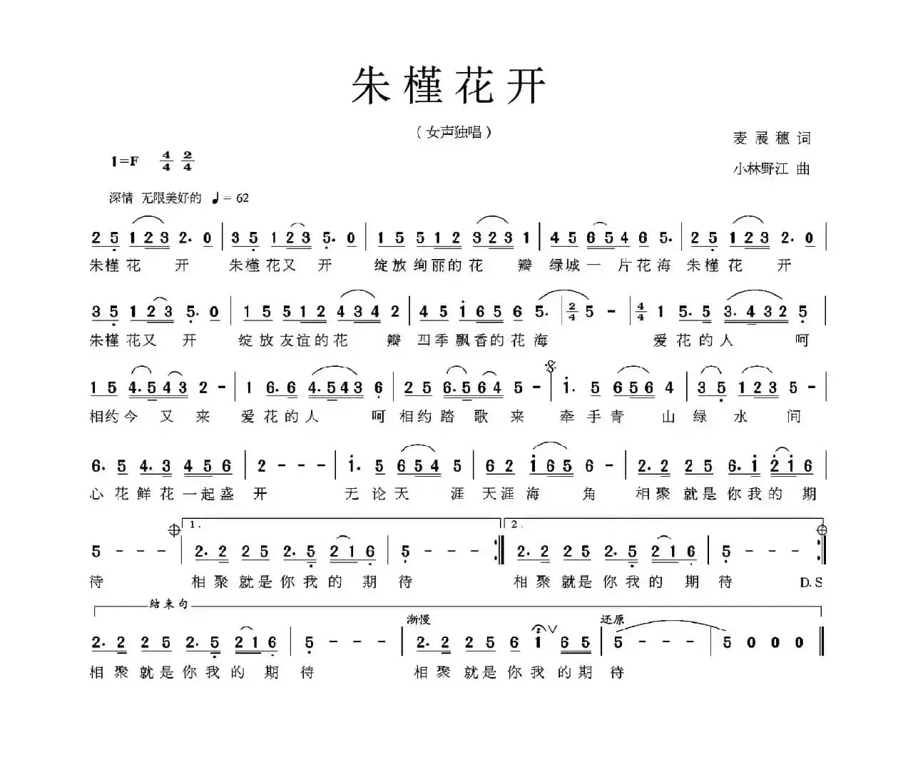 朱槿花开（麦展穗词 小林野江曲）