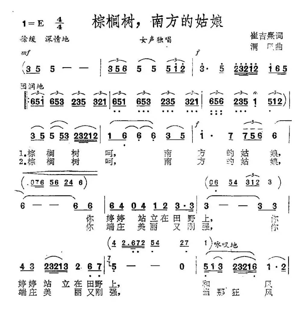 棕榈树，南方的姑娘
