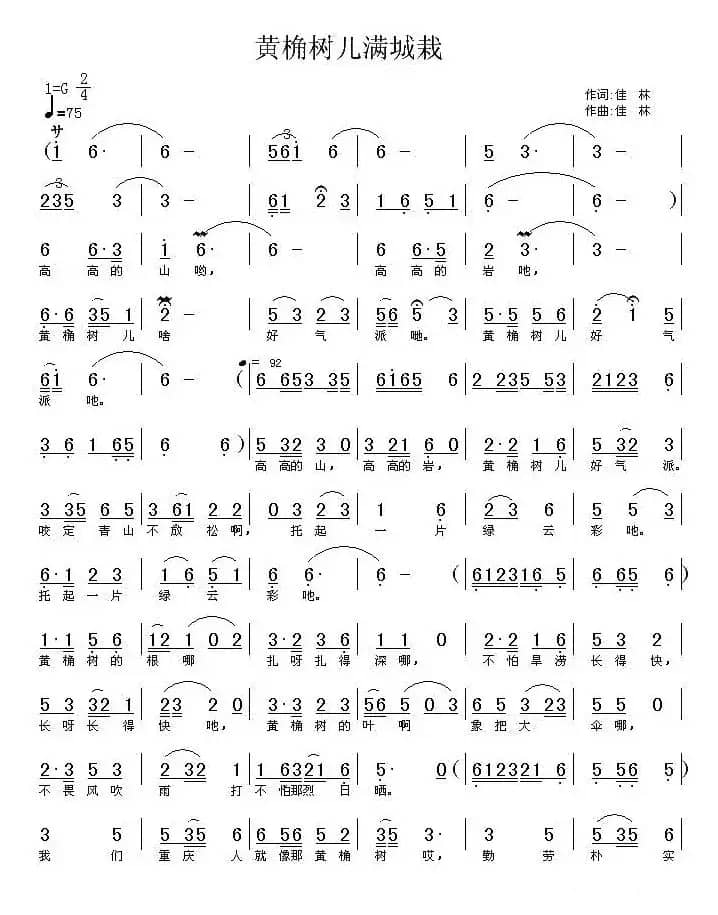 黄角树儿满城栽