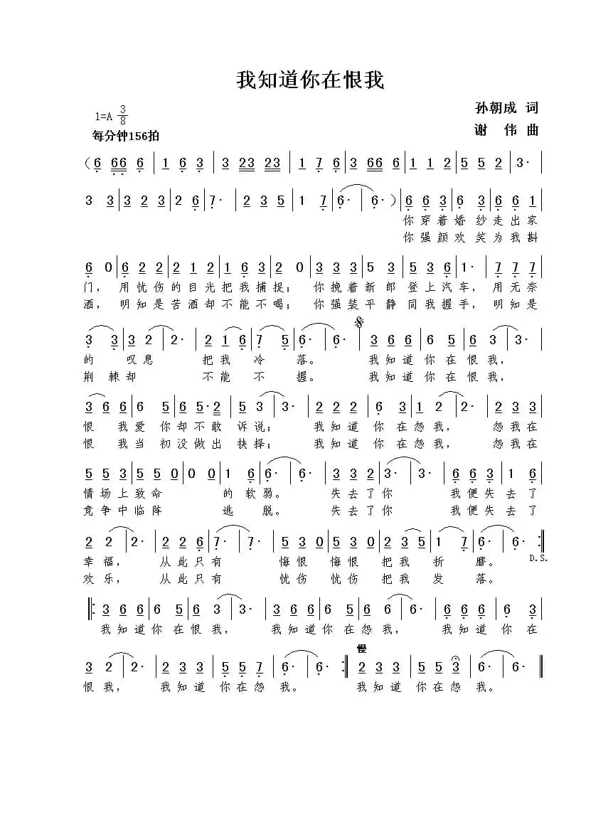 我知道你在恨我（孙朝成词  谢伟曲）