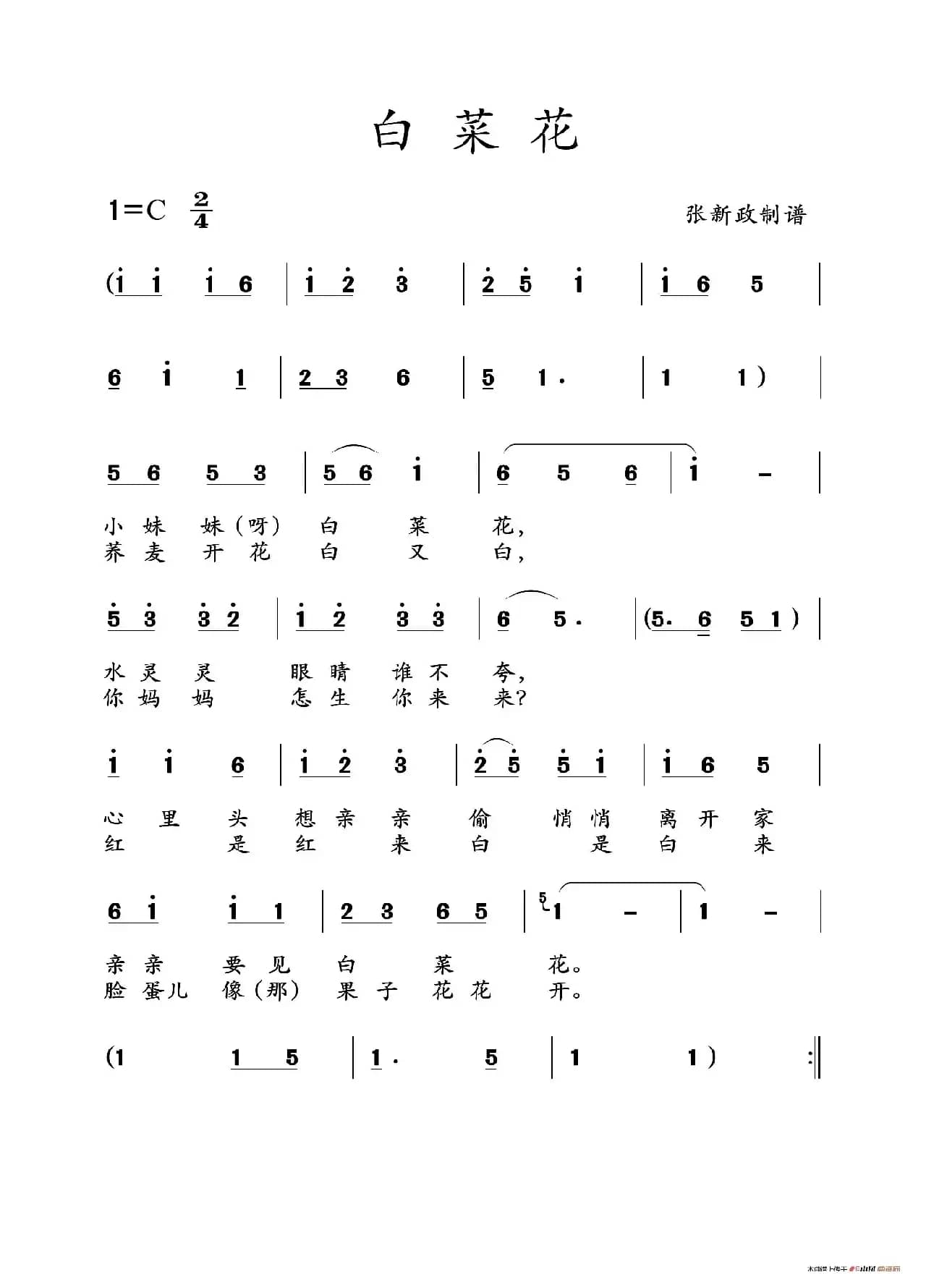 白菜花（山曲）