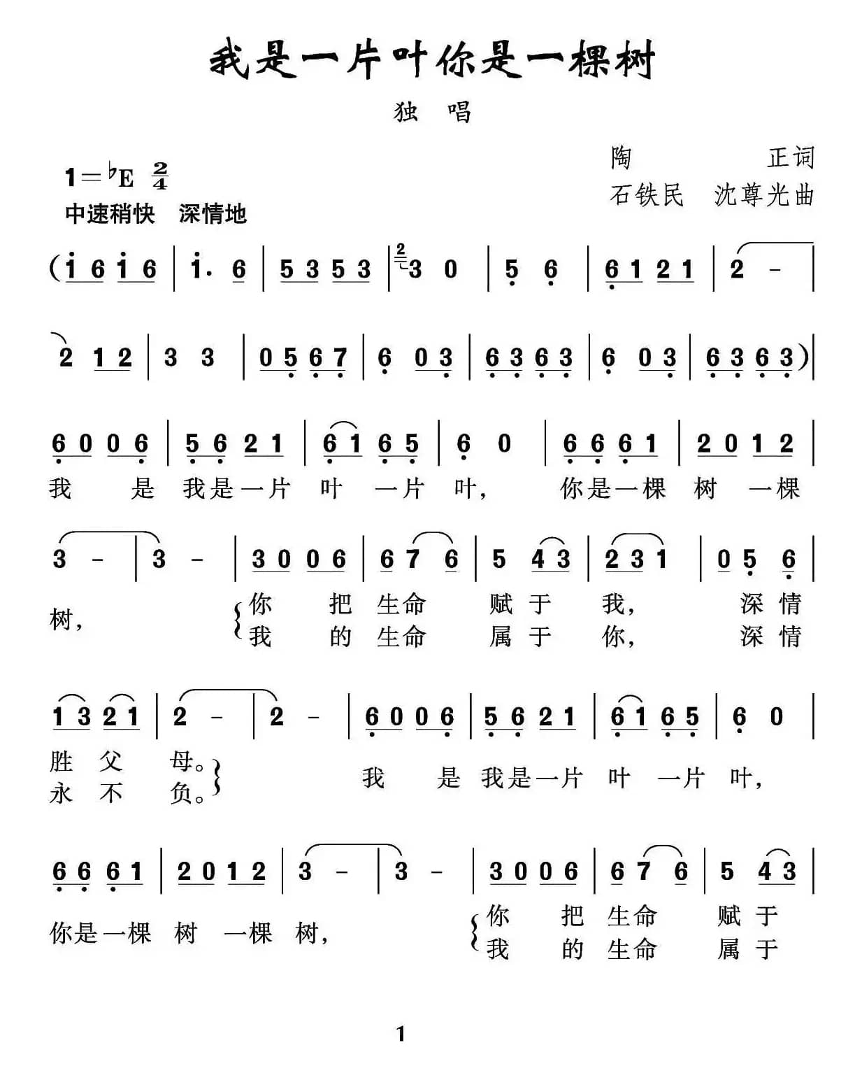 我是一片叶 你是一棵树