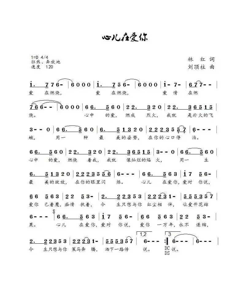 心儿在爱你（国巍）