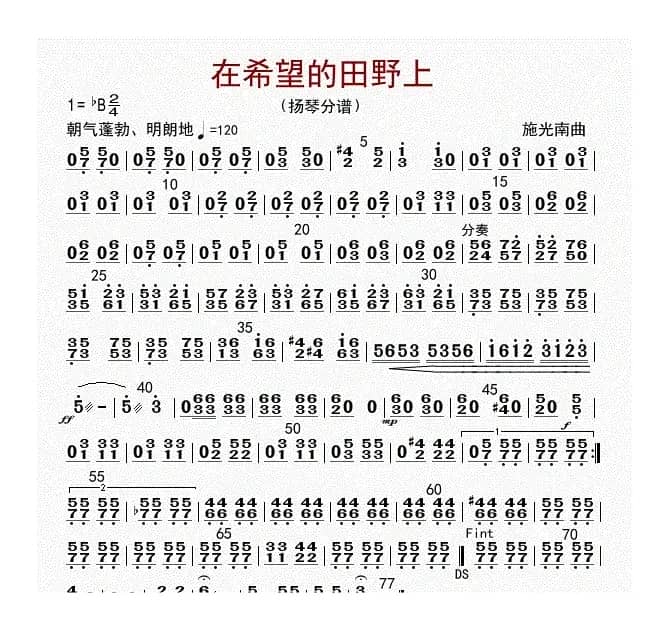 在希望的田野上（扬琴分谱）
