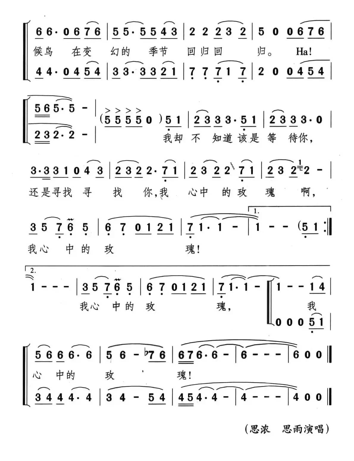 寻找心中的玫瑰