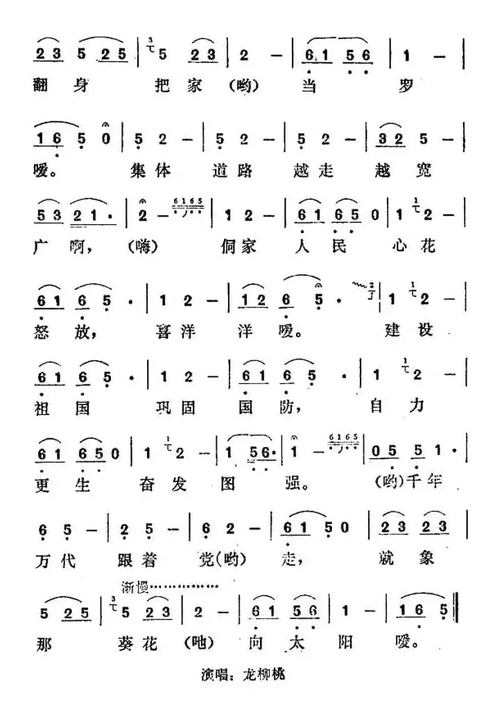 葵花向阳