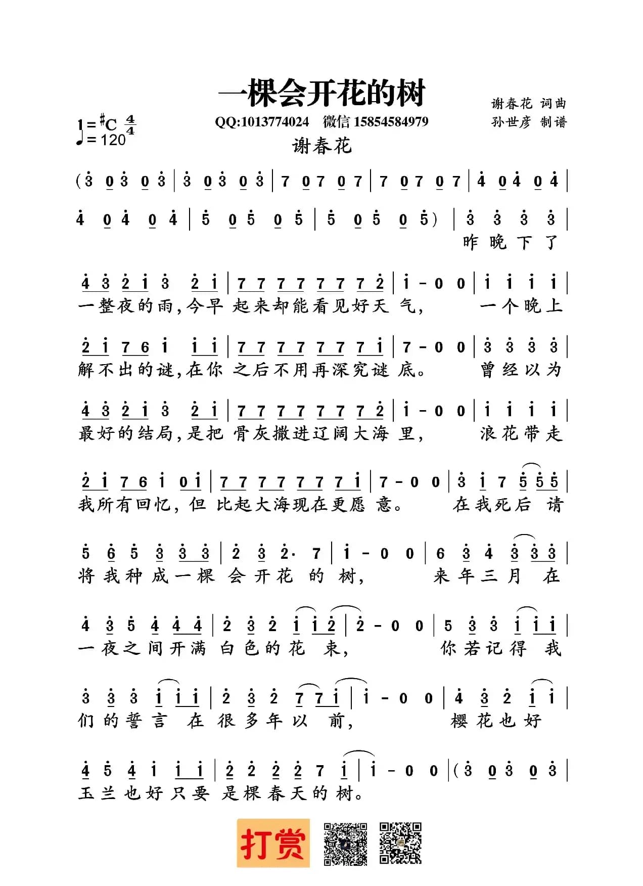 一棵会开花的树（谢春花词曲）