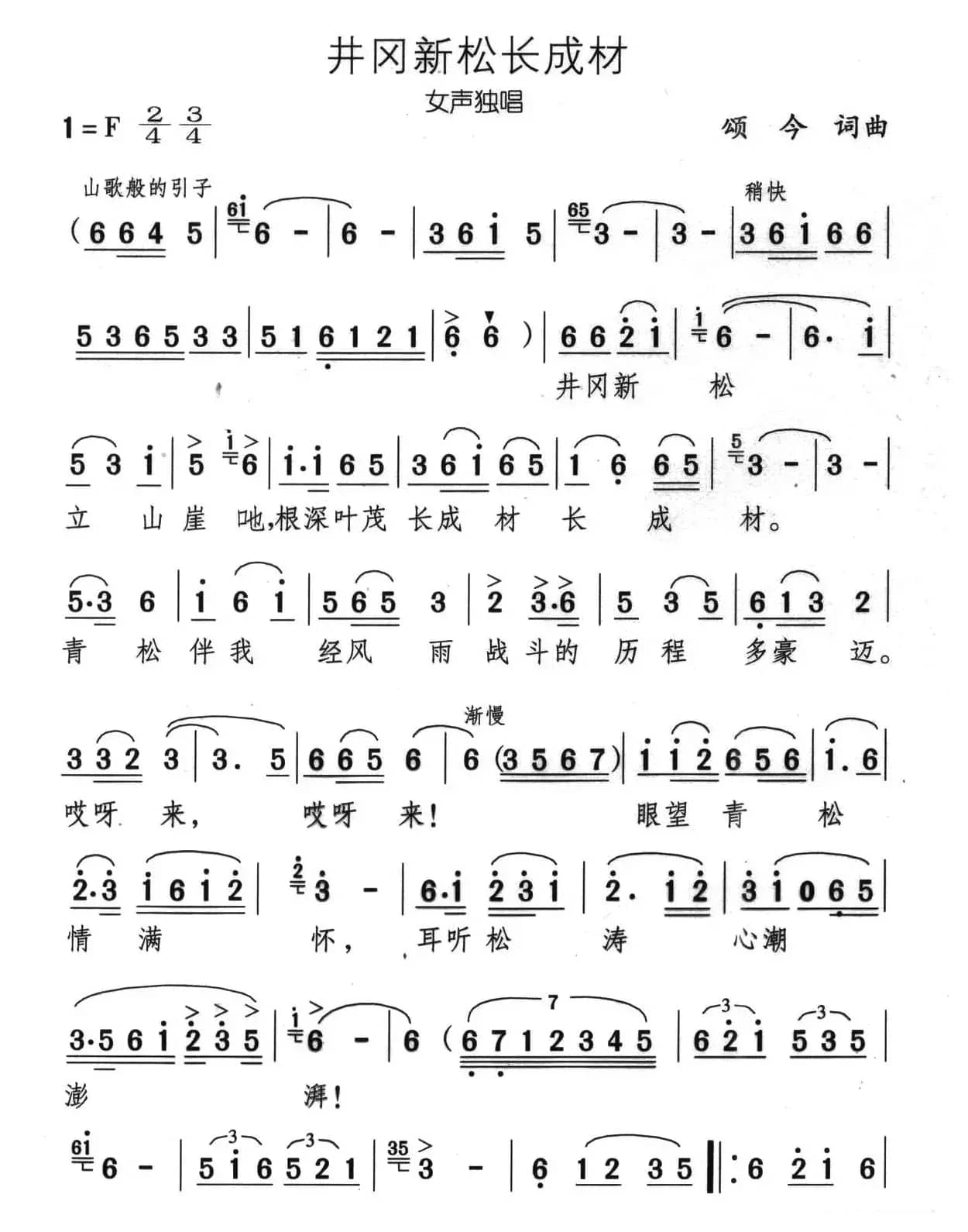 井冈新松长成材