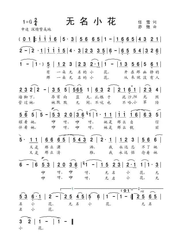 无名小花（亦弛原创）