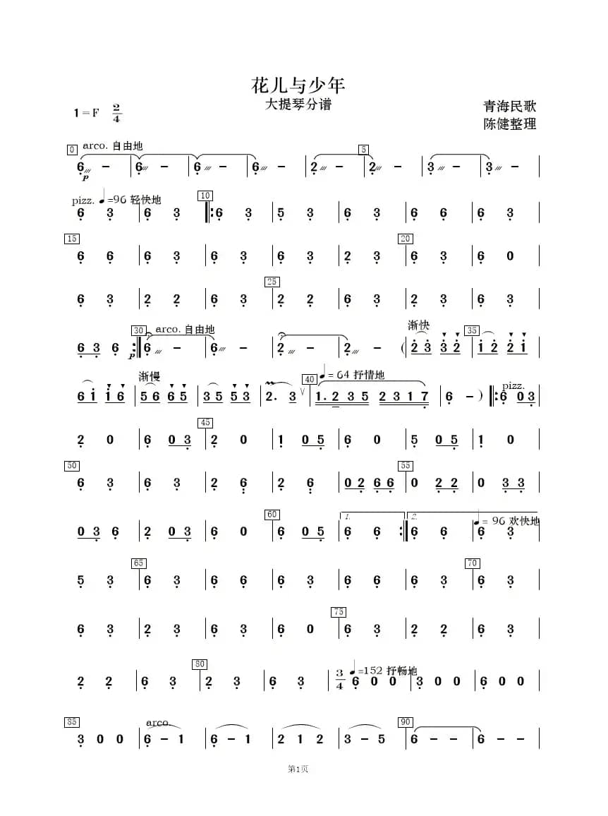 花儿与少年（民乐合奏）