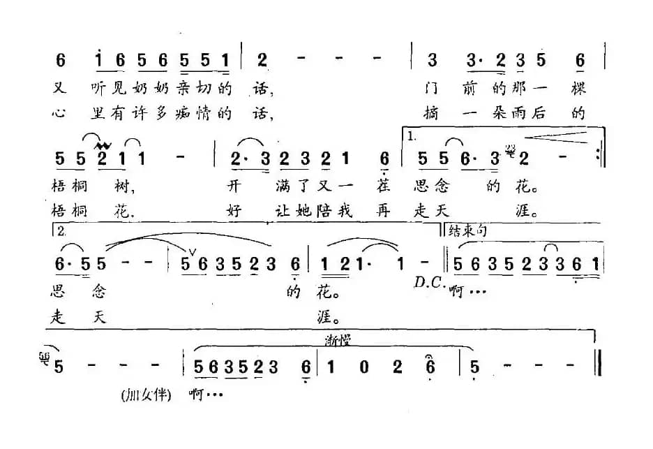 梧桐花（周依民词 尔宁曲）
