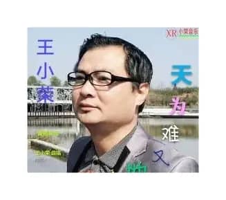 难为地又难为天