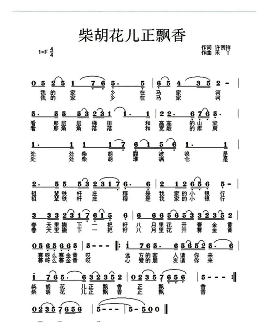 柴胡花儿正飘香