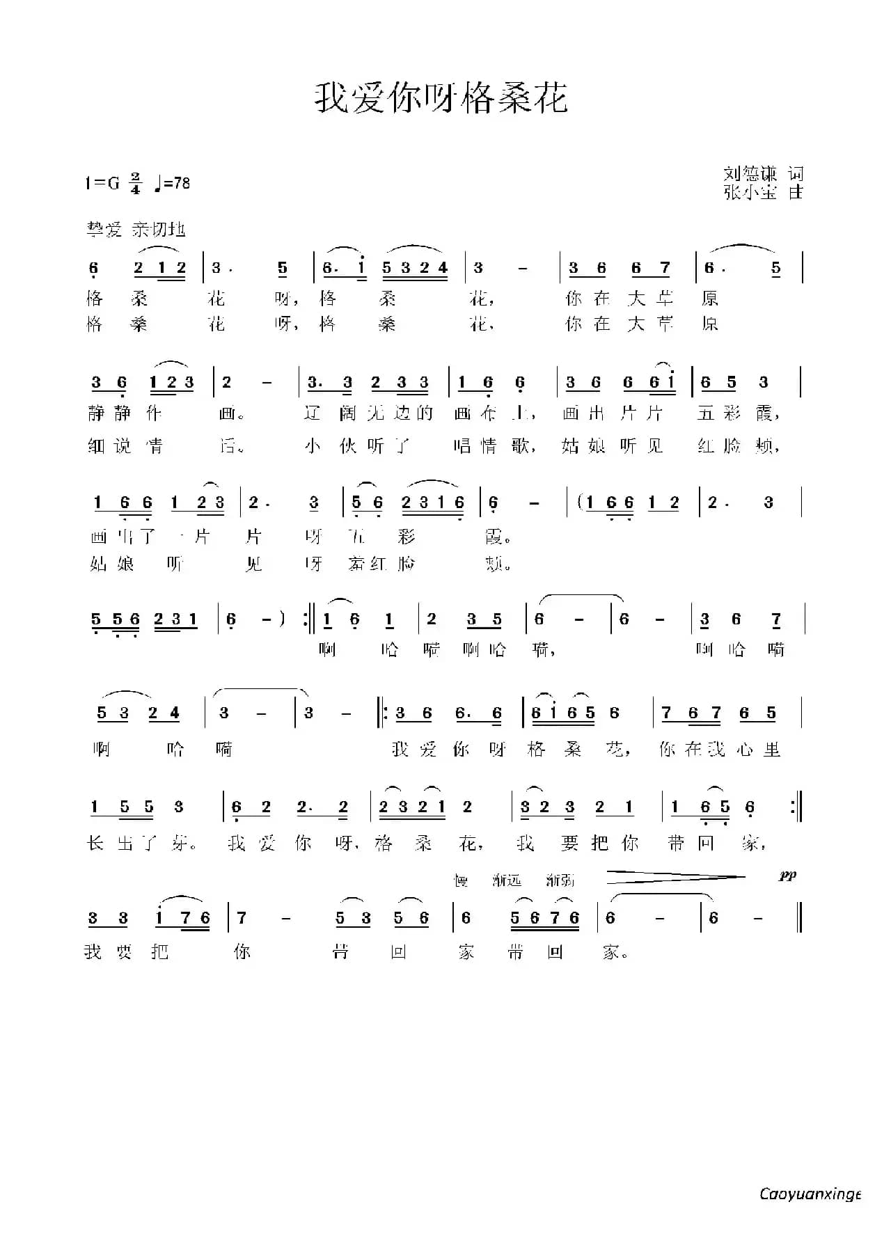 我爱你呀格桑花