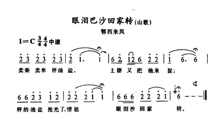 眼泪巴沙回家转