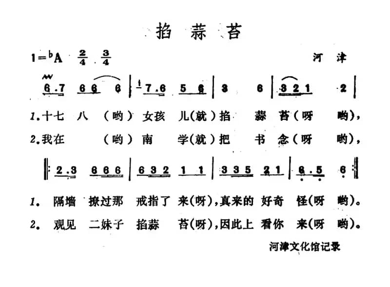 掐蒜苔 （山西河津山歌）