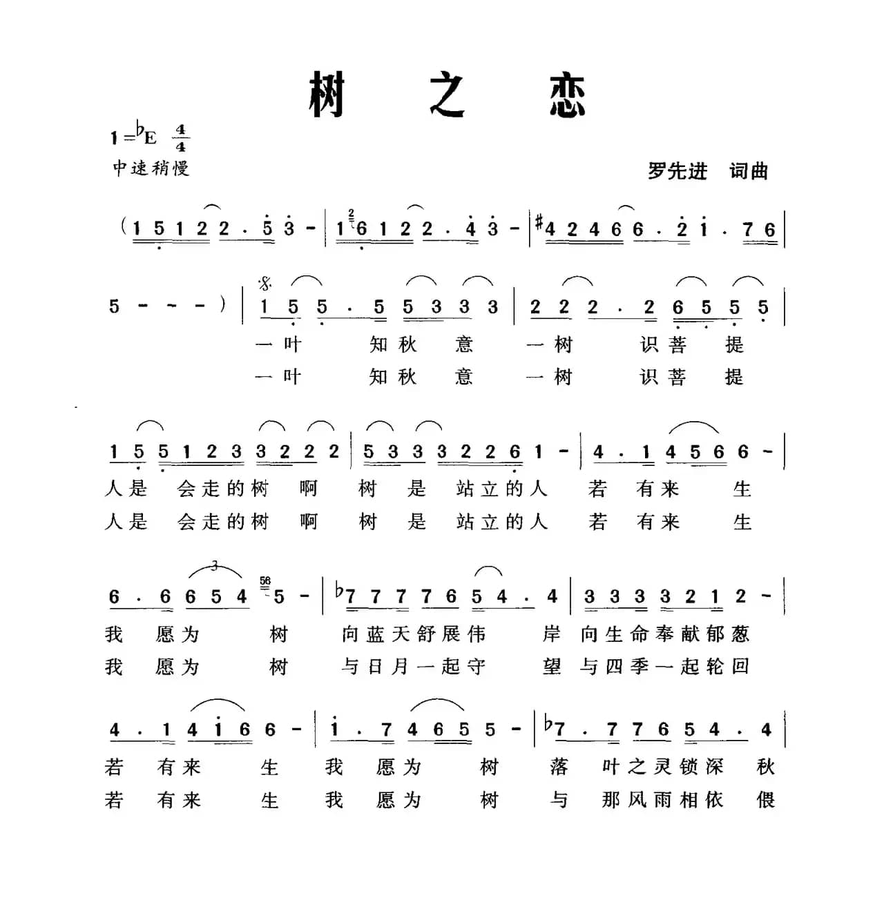 树之恋