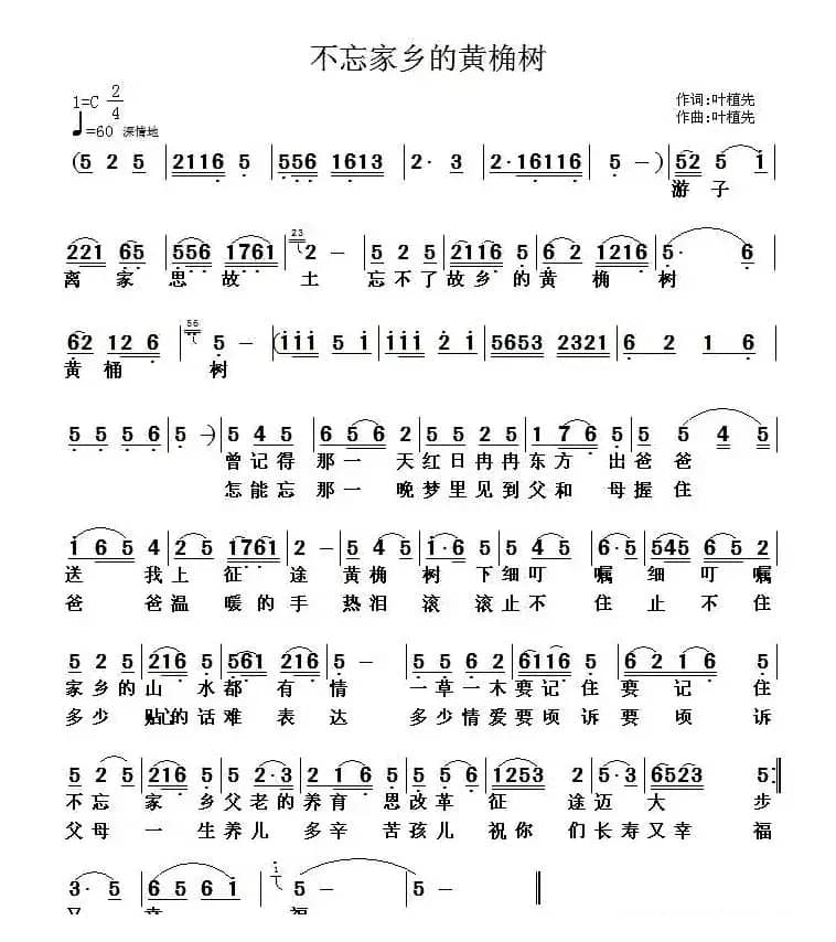 不忘家乡的黄桷树