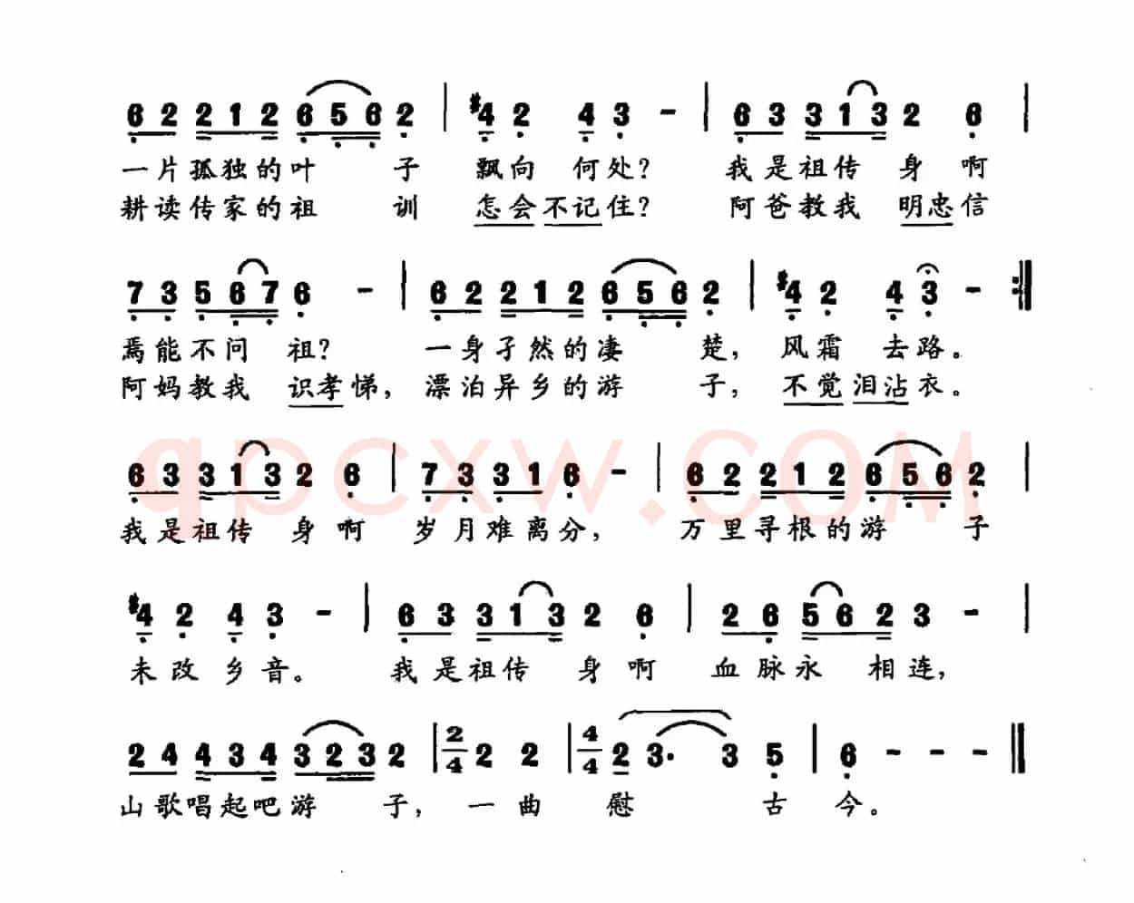 寻根谣