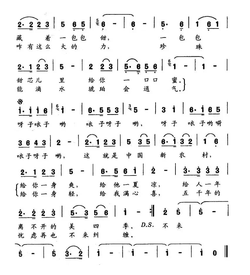 中国新农村（张藜词 舒光杰曲）