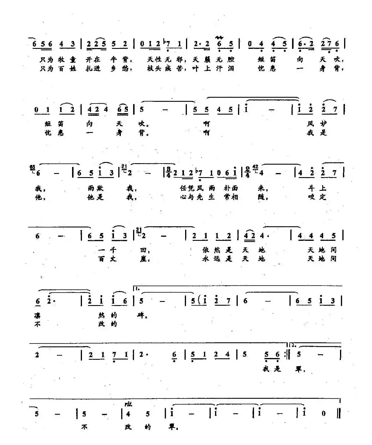 ​50板桥竹（双谱）
