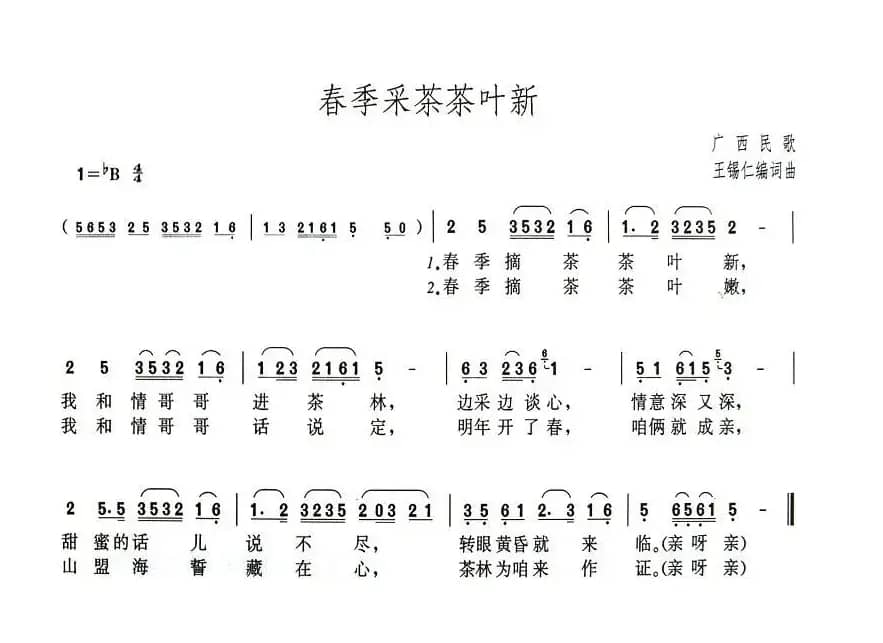 春季采茶茶叶新