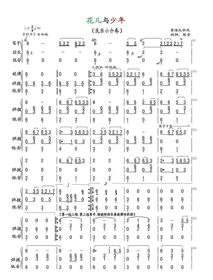 花儿与少年（民乐小合奏）