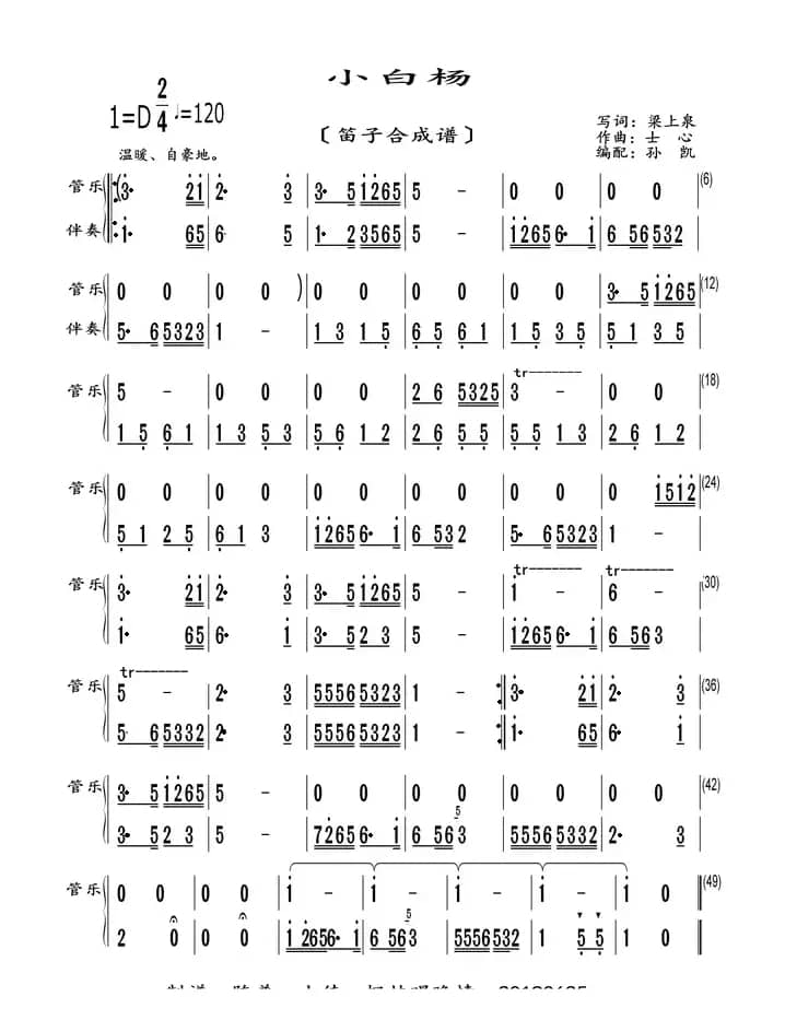 小白杨（笛子合成谱）