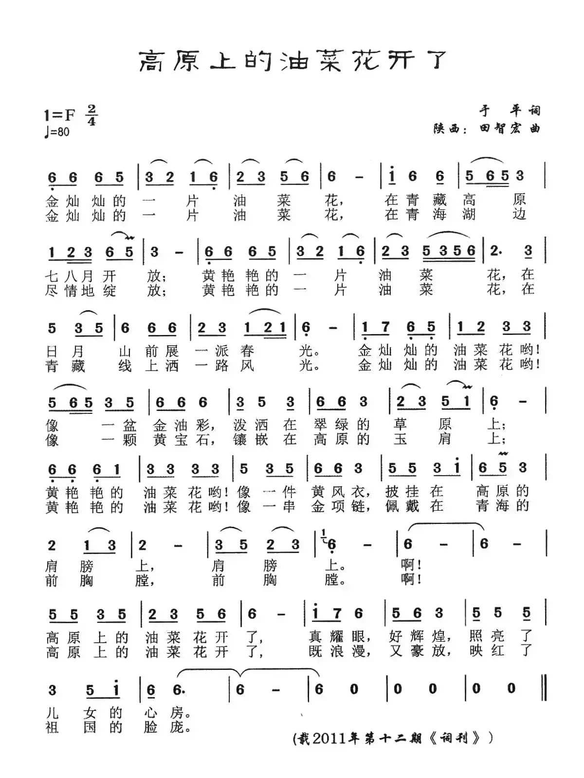 ​高原上的油菜花开了