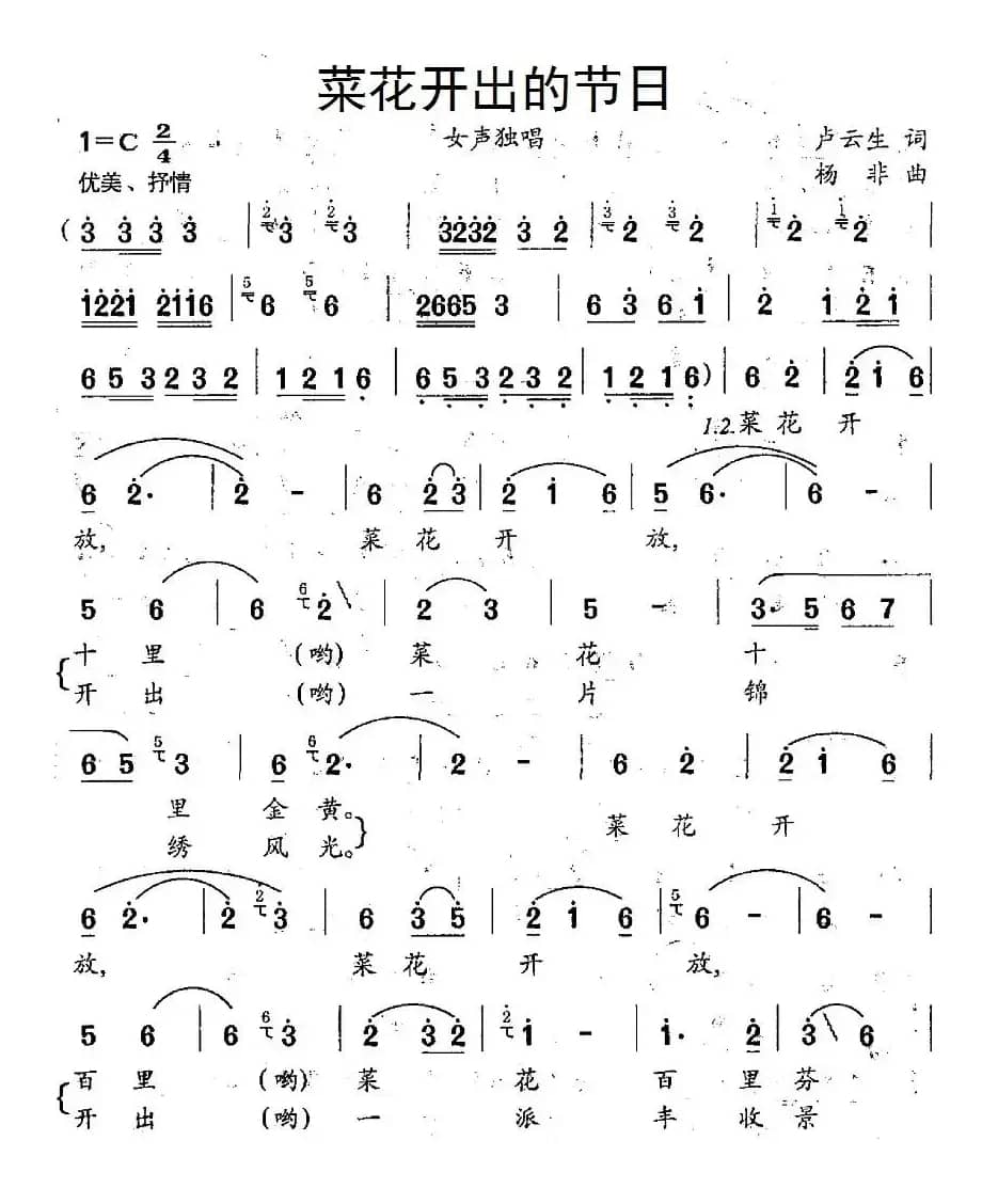 菜花开出的节日