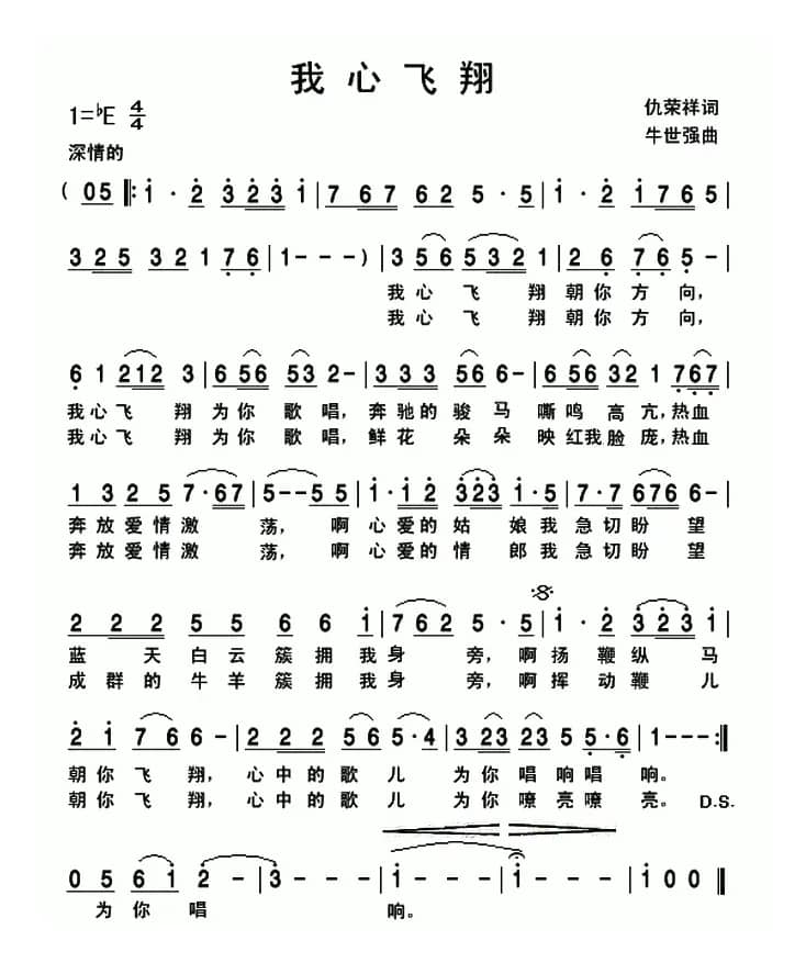 我心飞翔（仇荣祥词 牛世强曲）