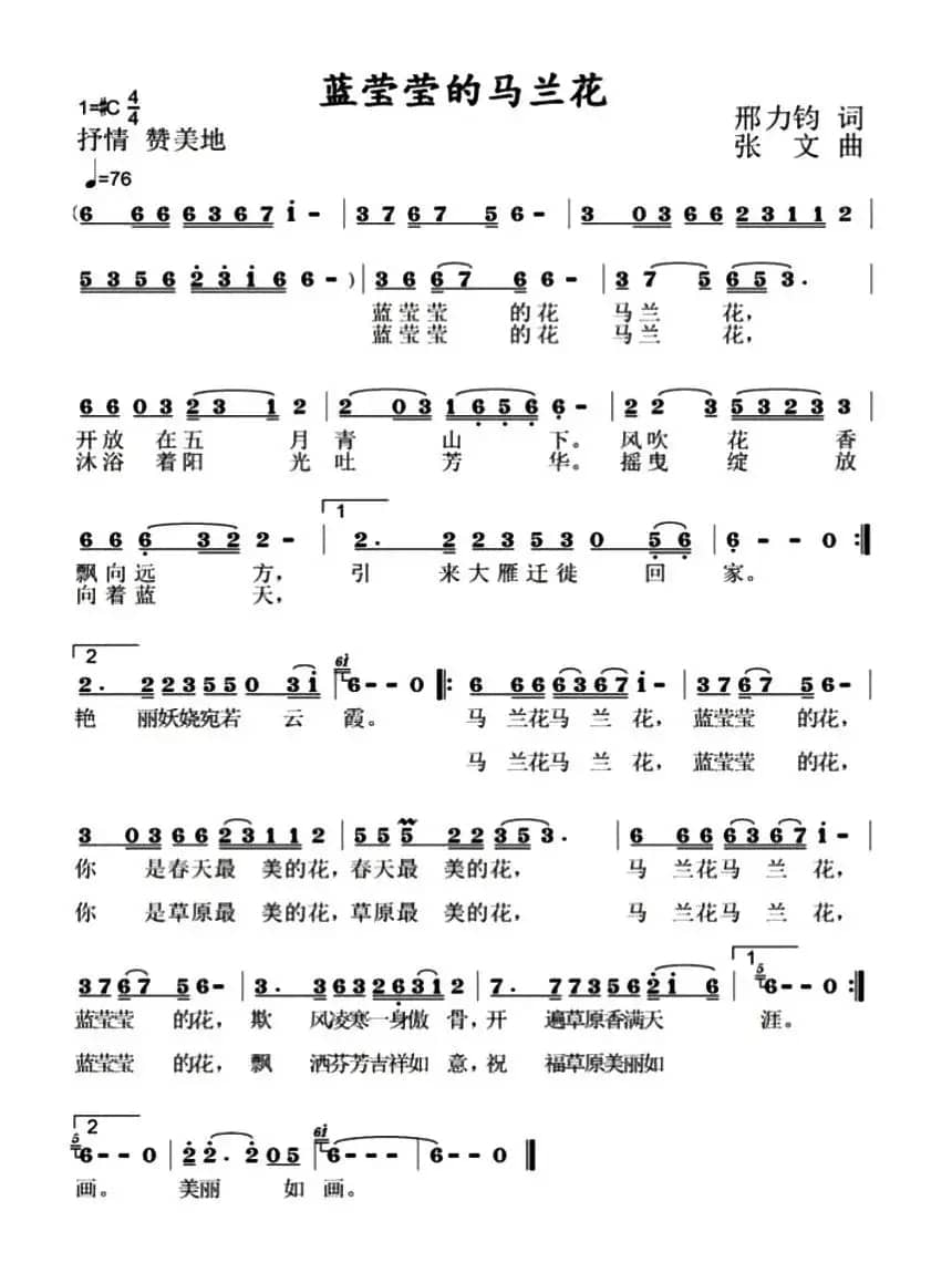 蓝莹莹的马兰花