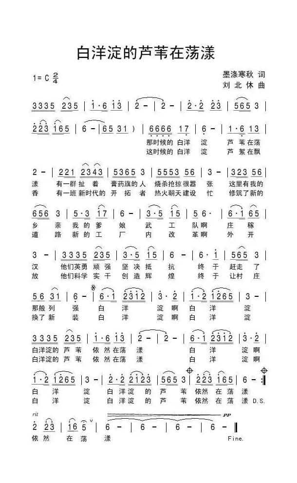 白洋淀的芦苇在荡漾
