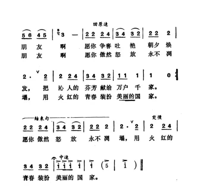 珍惜灿烂的好年华