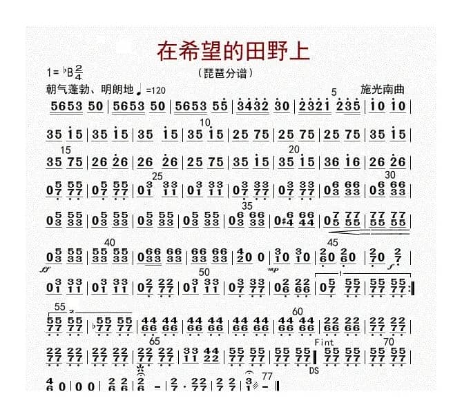 在希望的田野上（琵琶分谱）