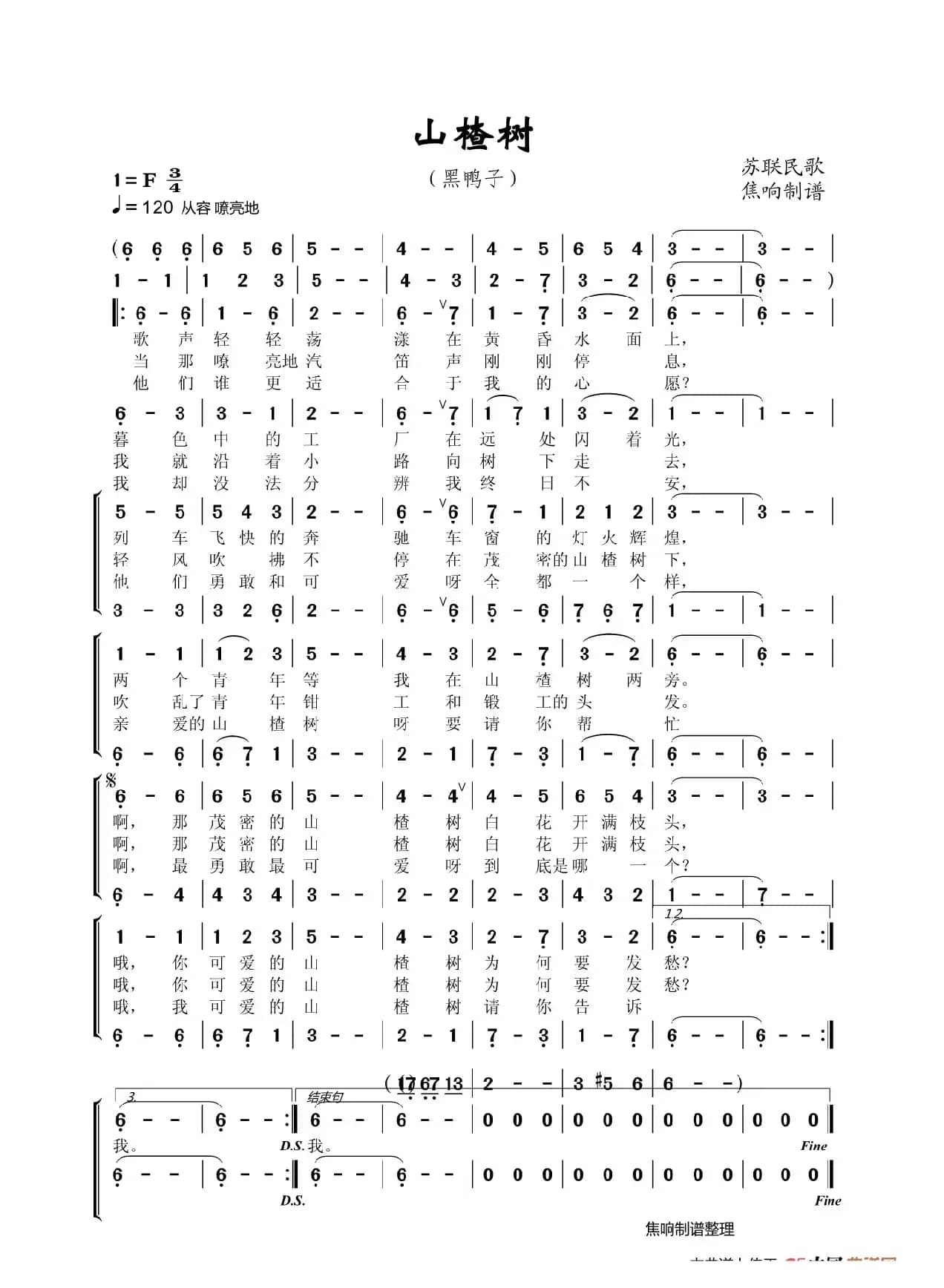 山楂树（黑鸭子）