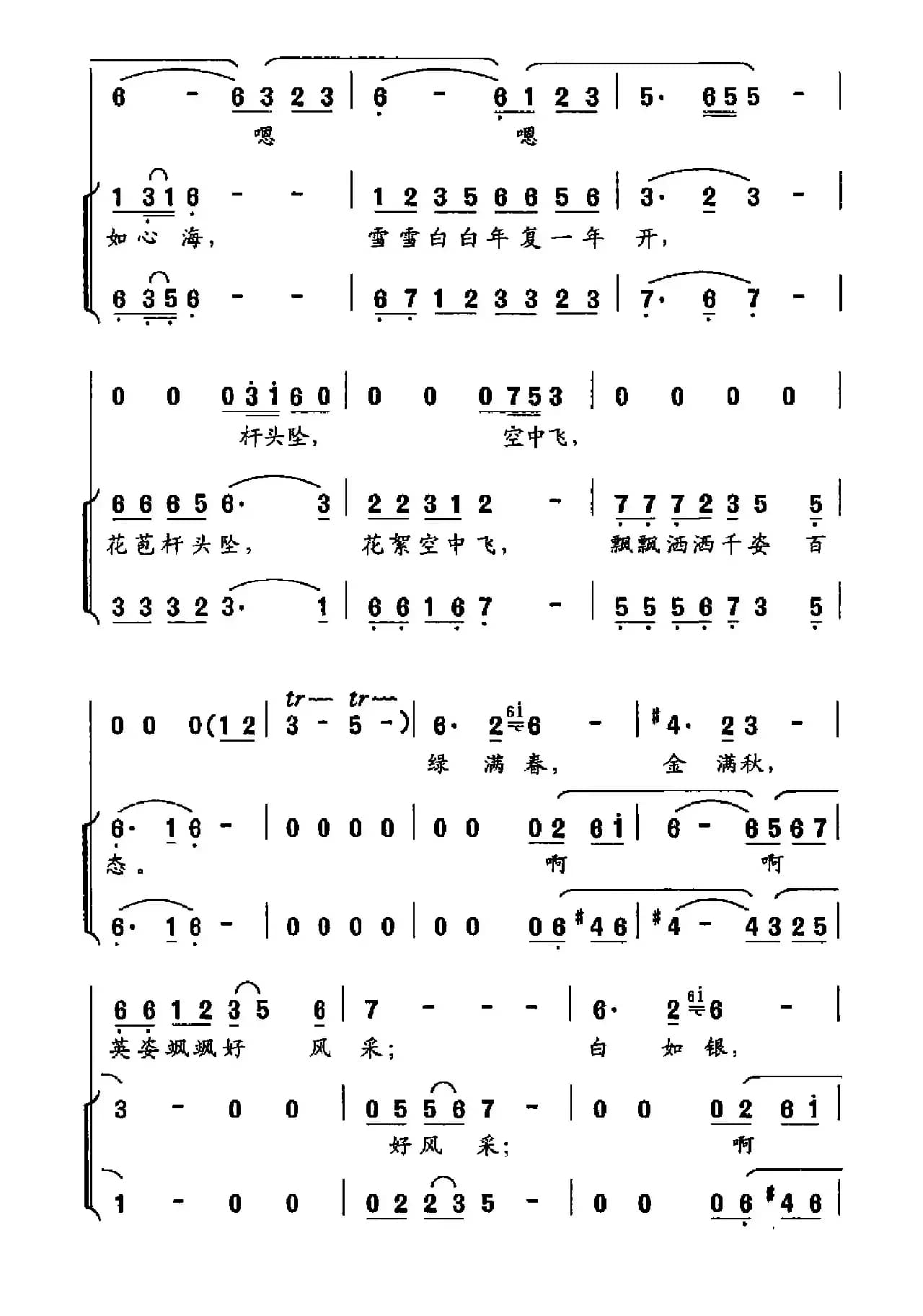 芦苇儿青青芦花儿白