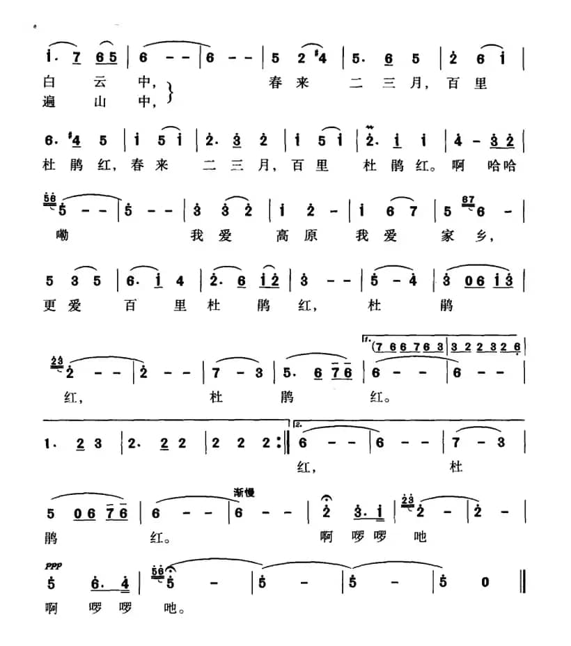 我爱家乡杜鹃红