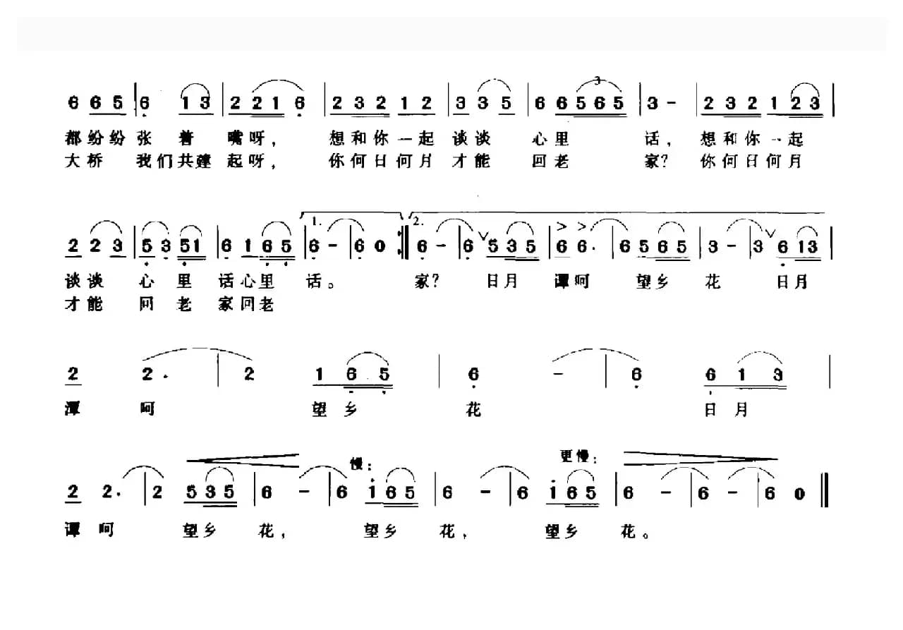 日月潭呵望乡花