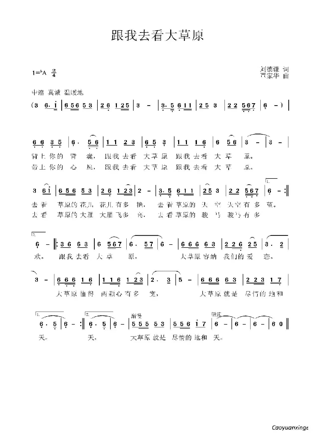 跟我去看大草原