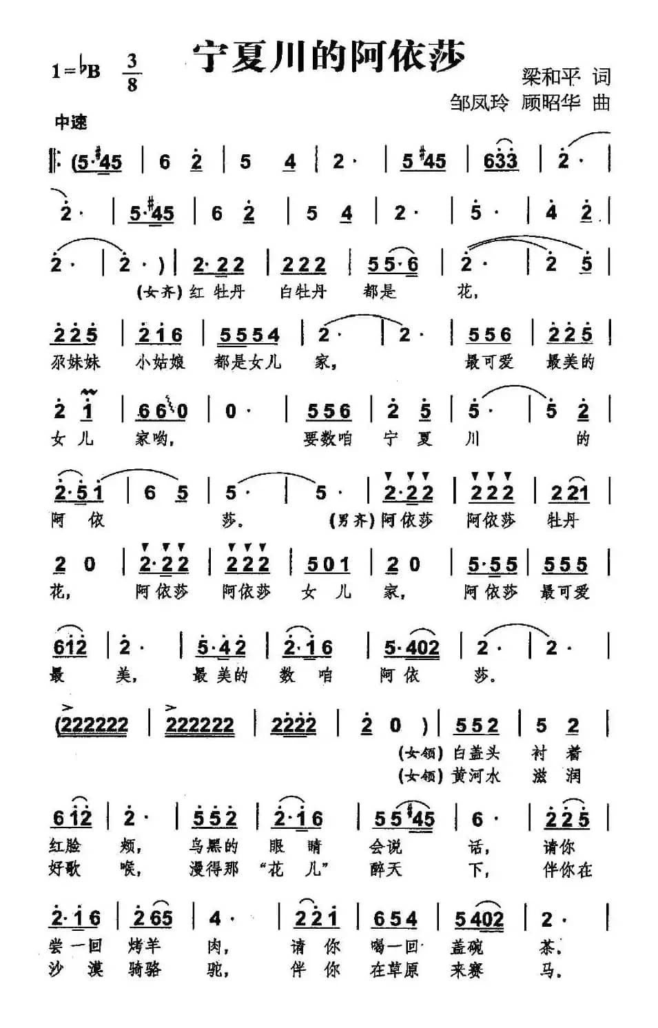 宁夏川的阿依莎